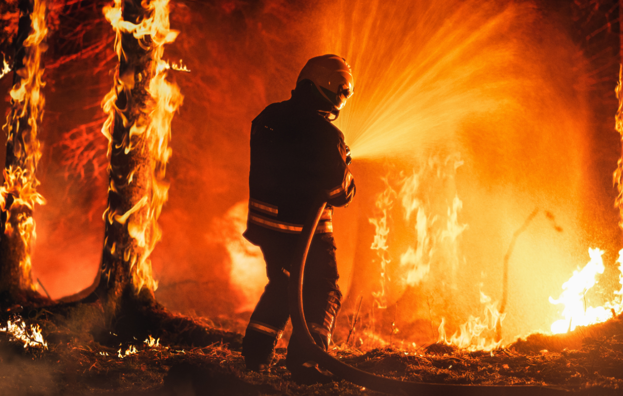 Stock image of firefighter in a forest fire. Photo credit: Gorodenkoff/Getty Images.