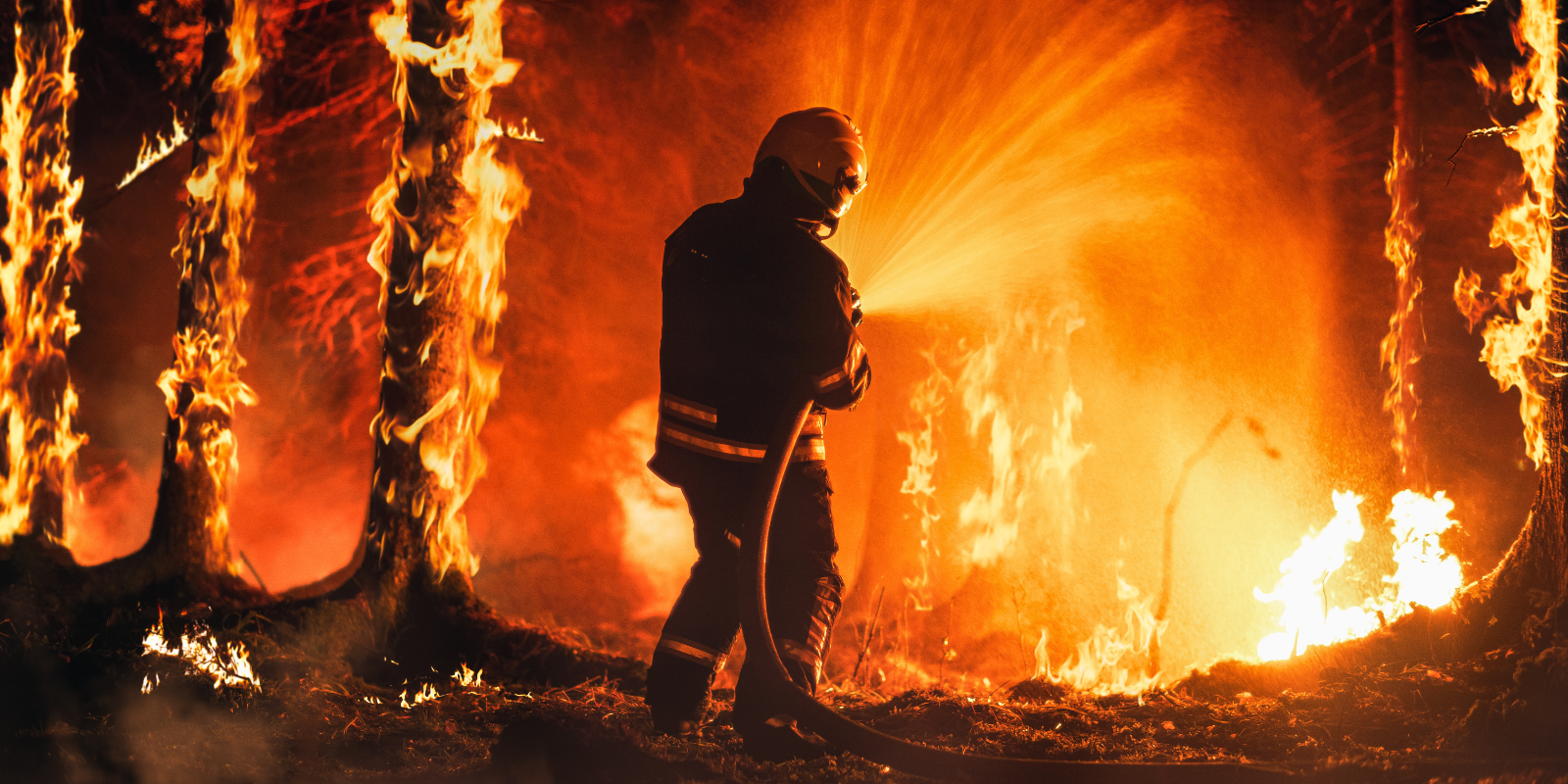 Stock image of firefighter in a forest fire. Photo credit: Gorodenkoff/Getty Images.